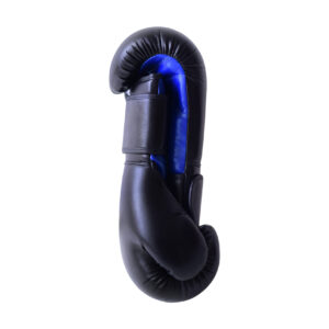 boxing gloves – black/blue